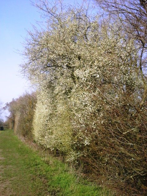 20160301_133132.jpg