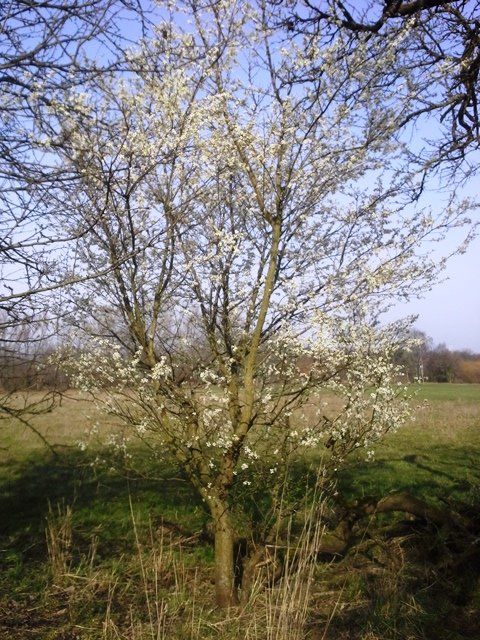 20160301_134344.jpg