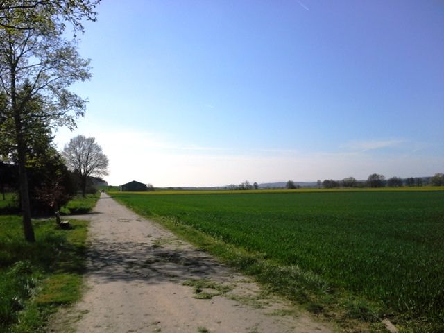 20160411_143340.jpg