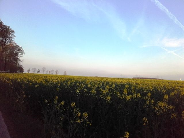 20160414_193341.jpg