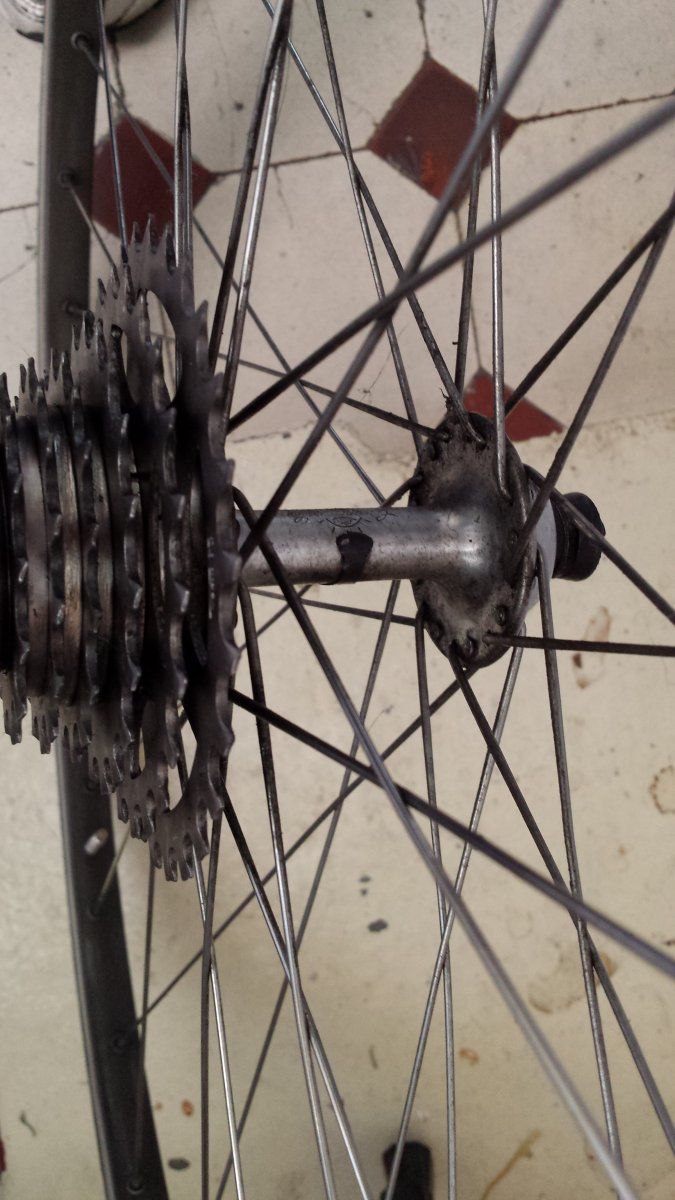 20160416_133625.jpg
