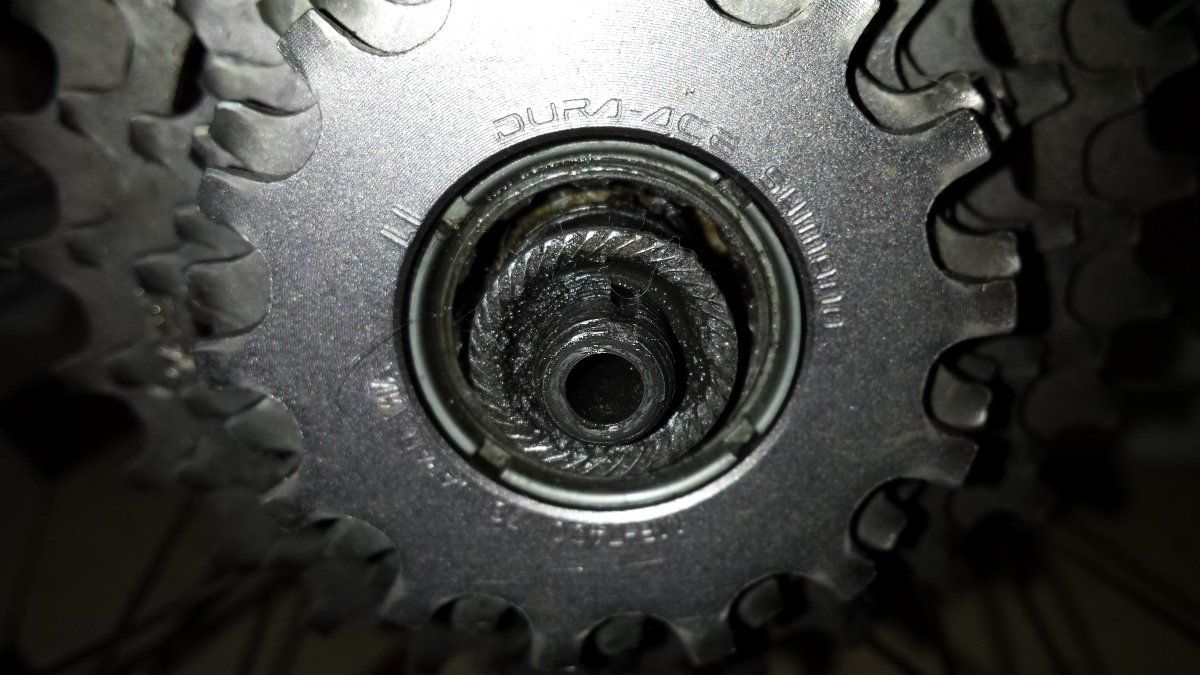 20160416_133646.jpg