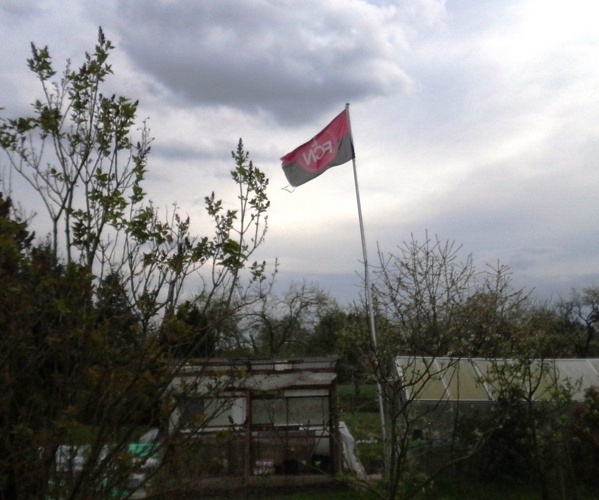 20160417_175701.jpg