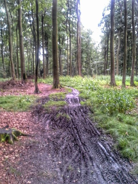 20160702_082049-01.jpeg