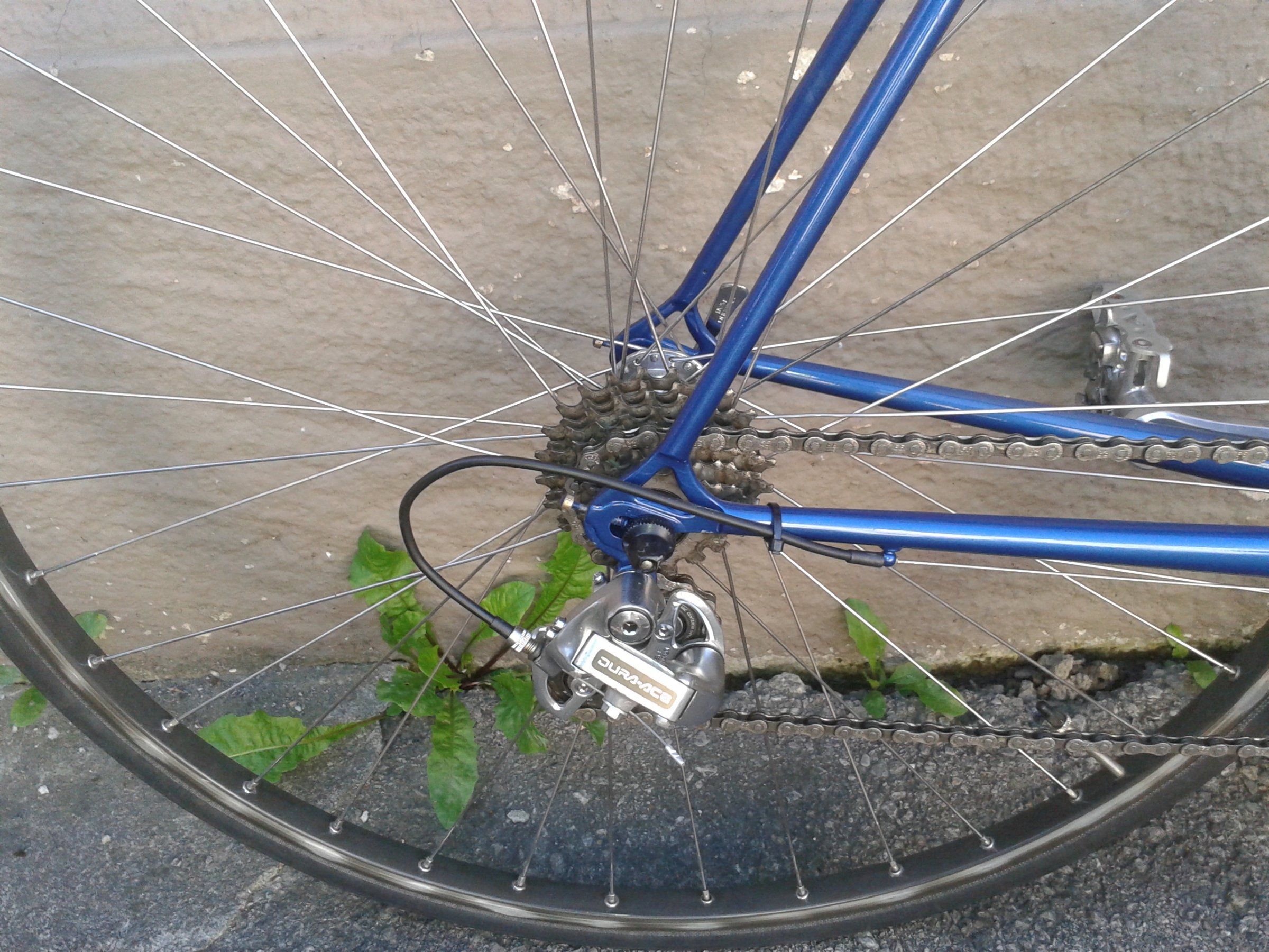 20160908_092404.jpg