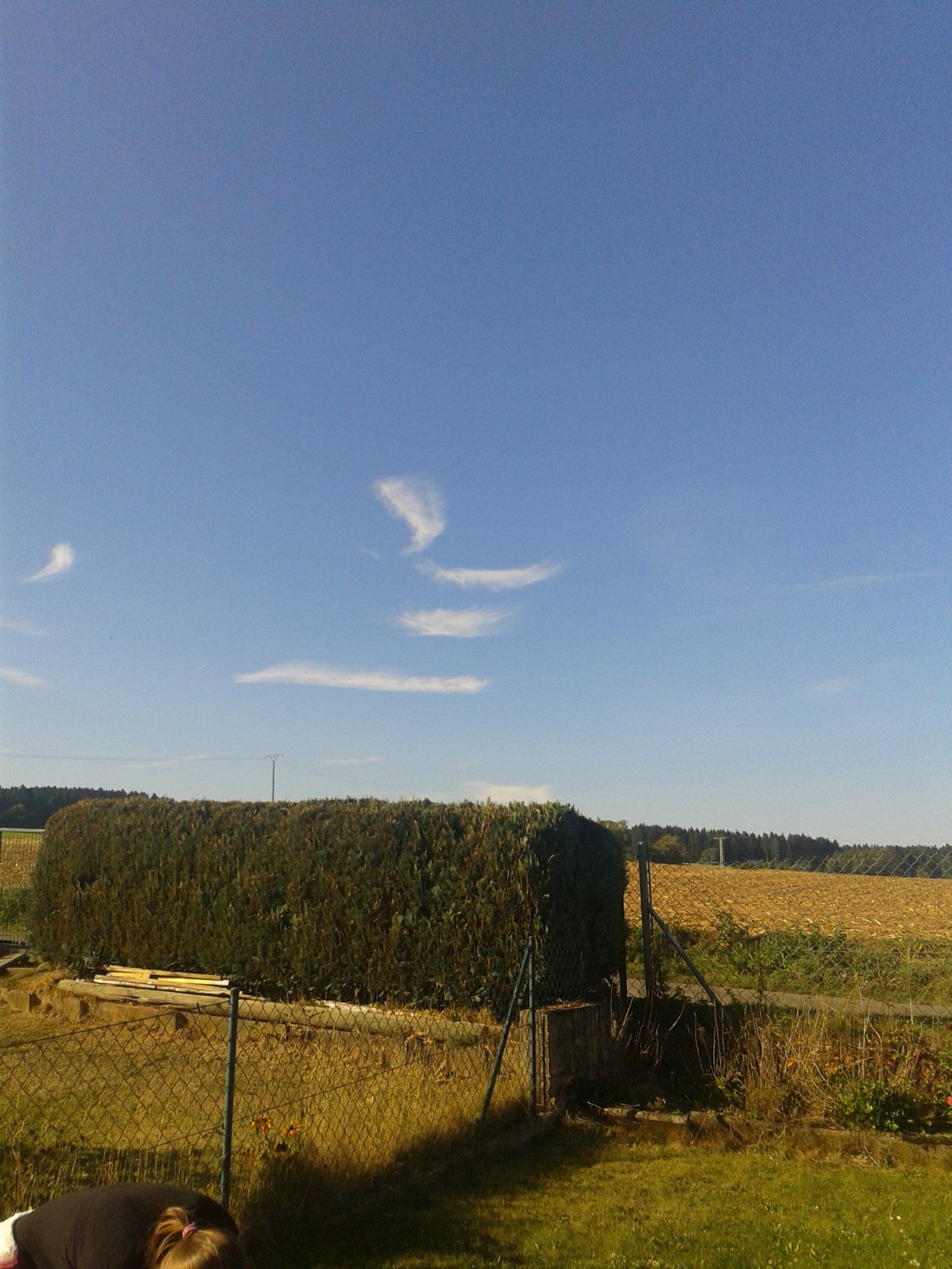 20160925_155231.jpg