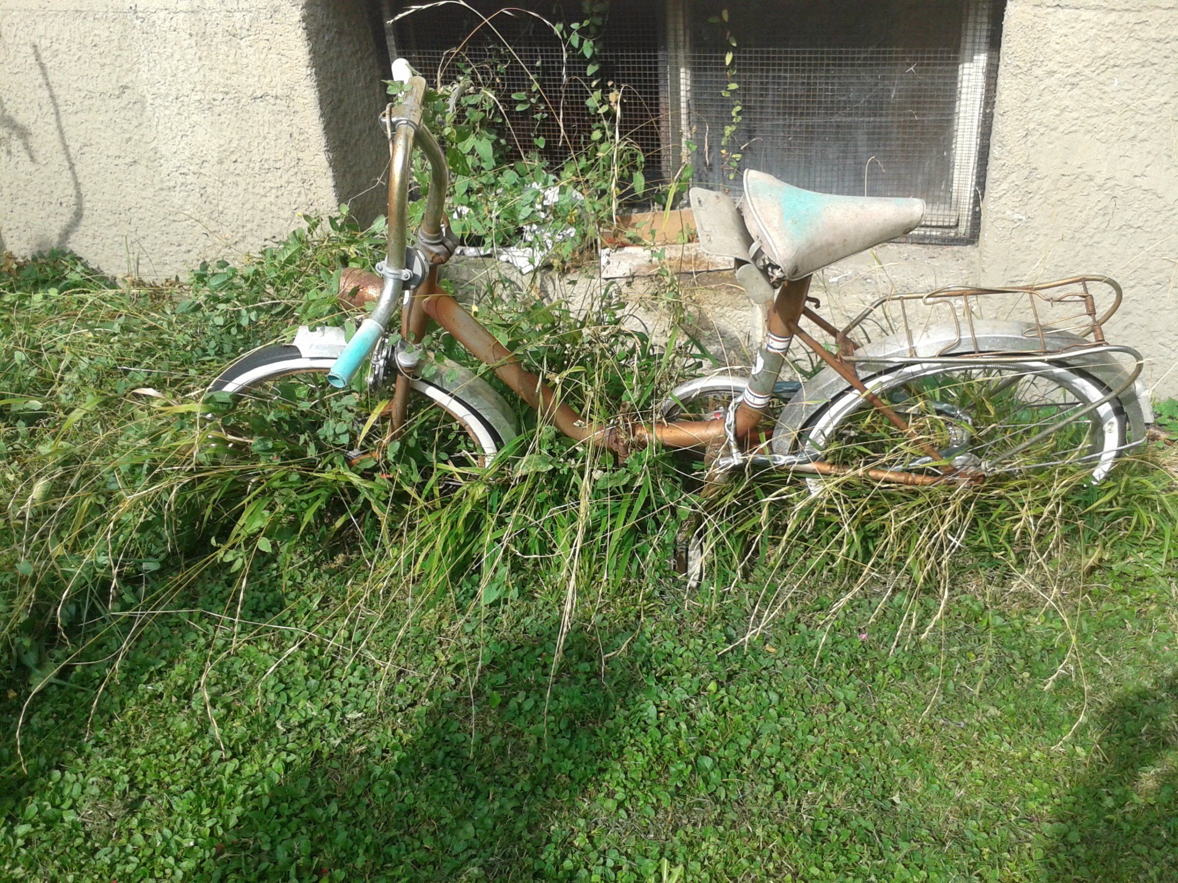 20161001_123009.jpg