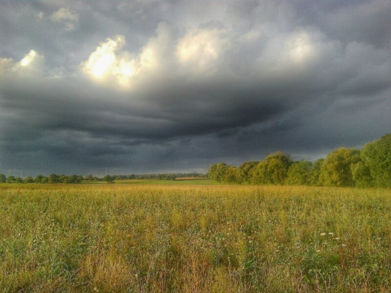 2016100911512800.jpg