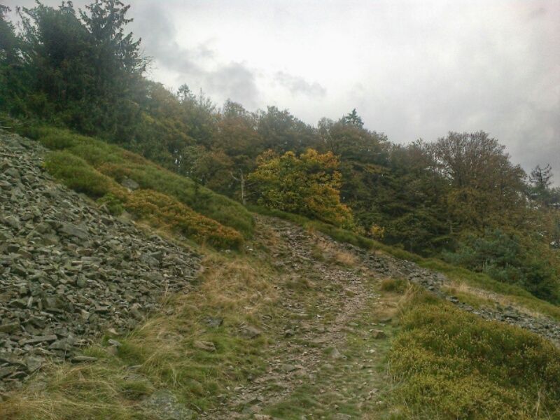 2016101722273500.jpg