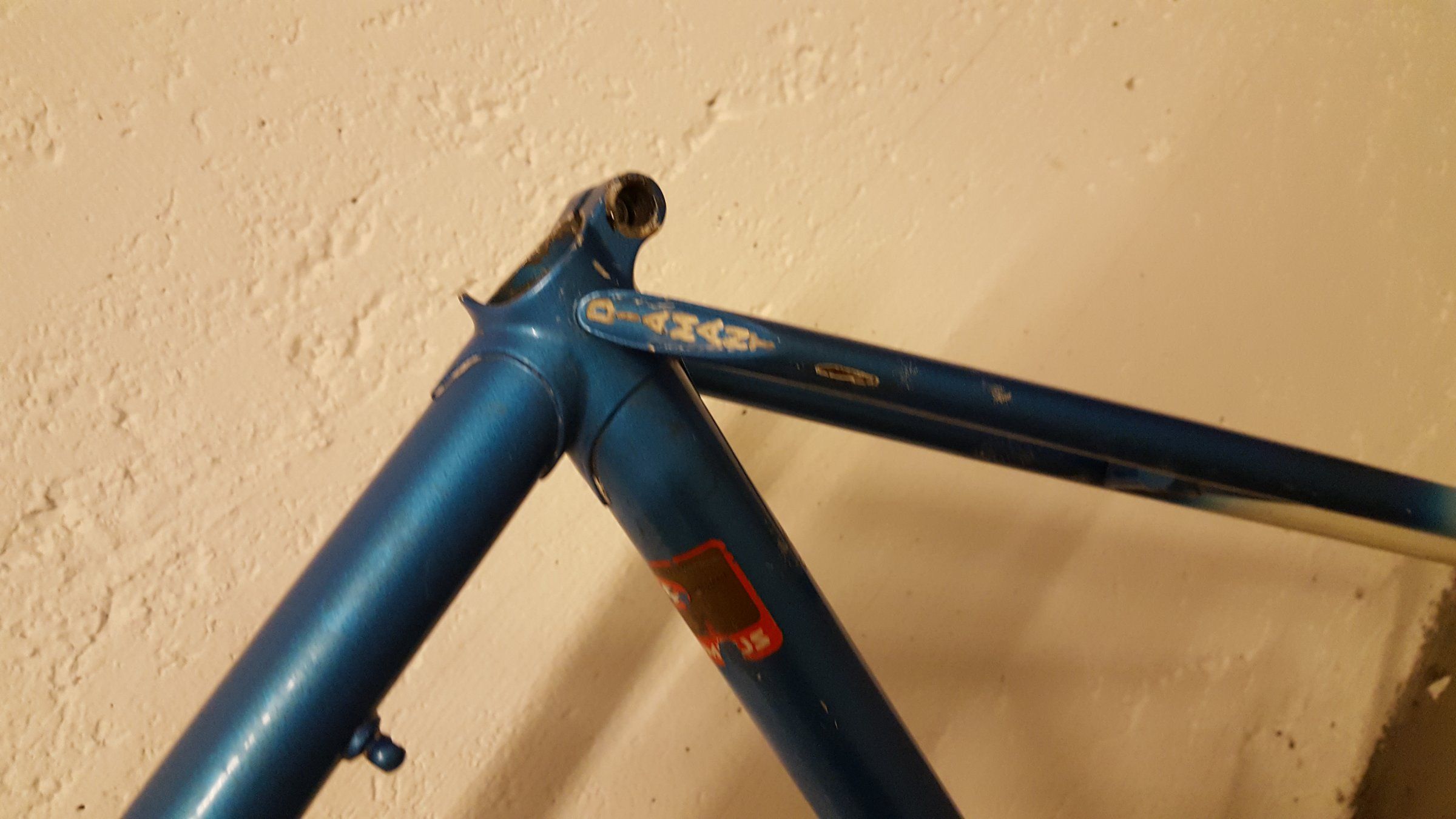 20161102_183826.jpg