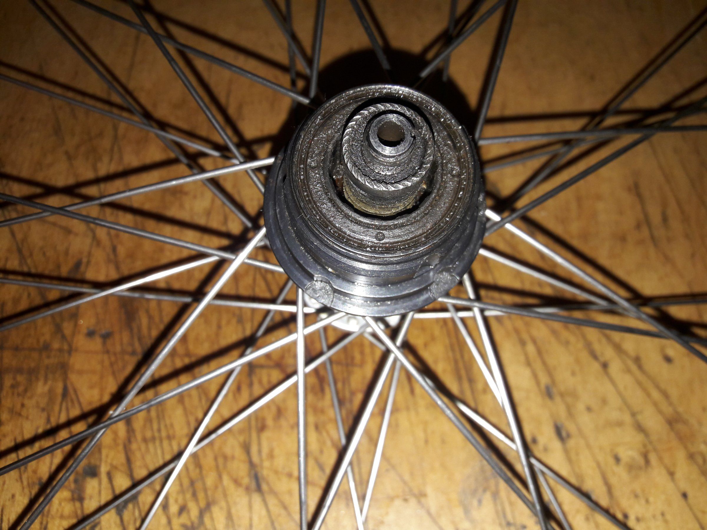 20161119_170131.jpg