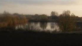 20161124_153803 (1).jpg