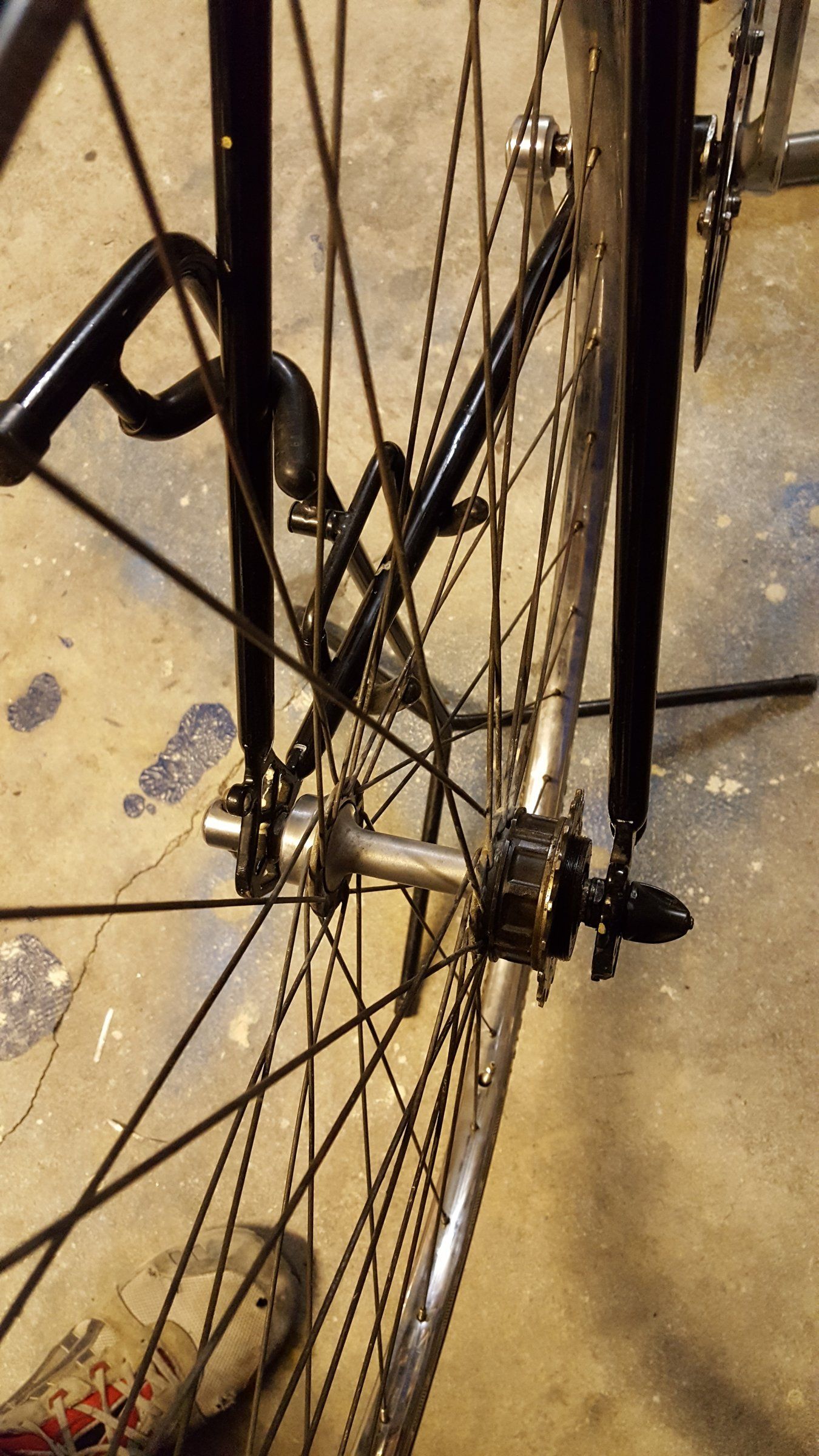 20161204_133145.jpg