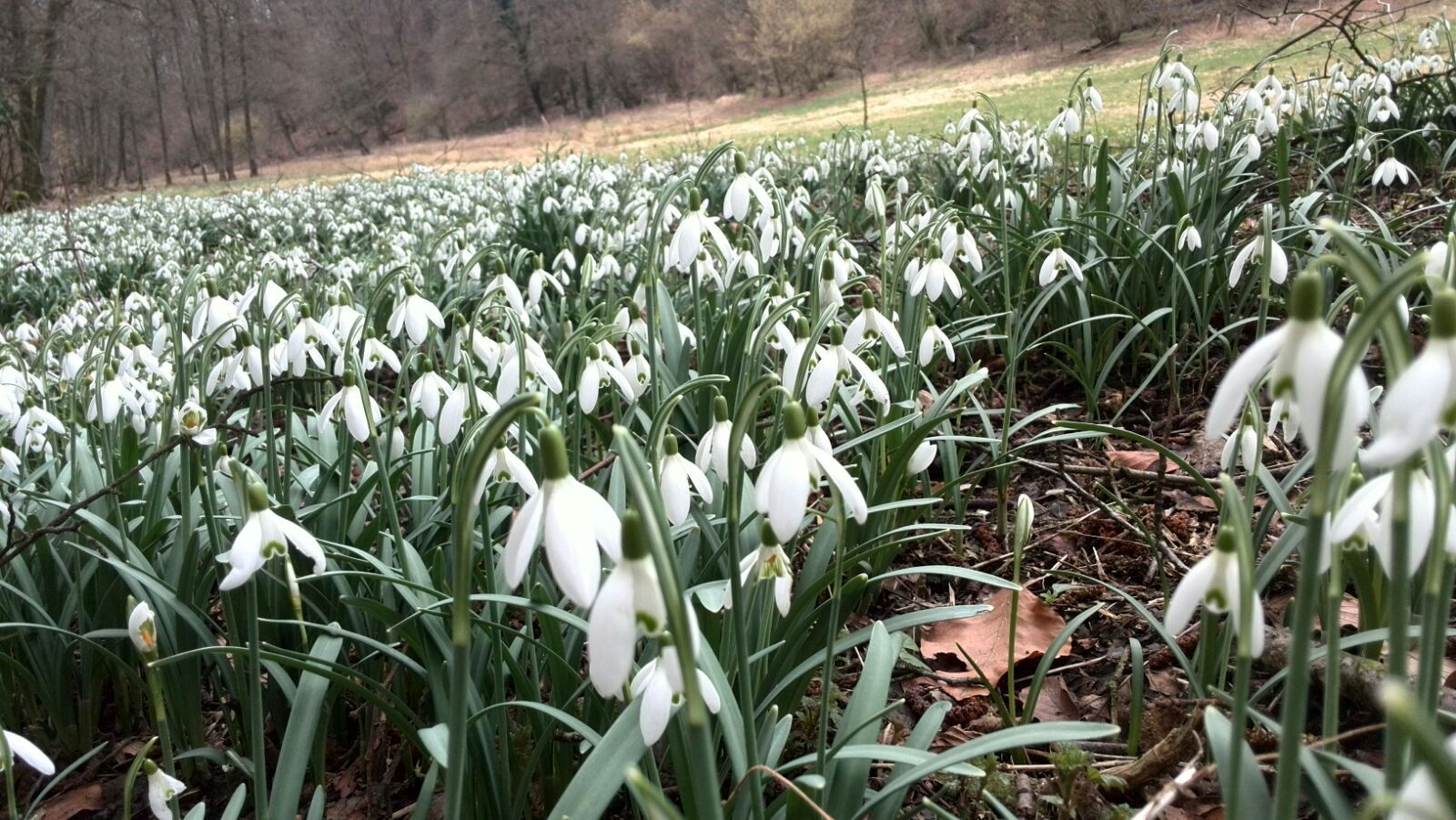 2017-02-27-Ratingen-03.jpg