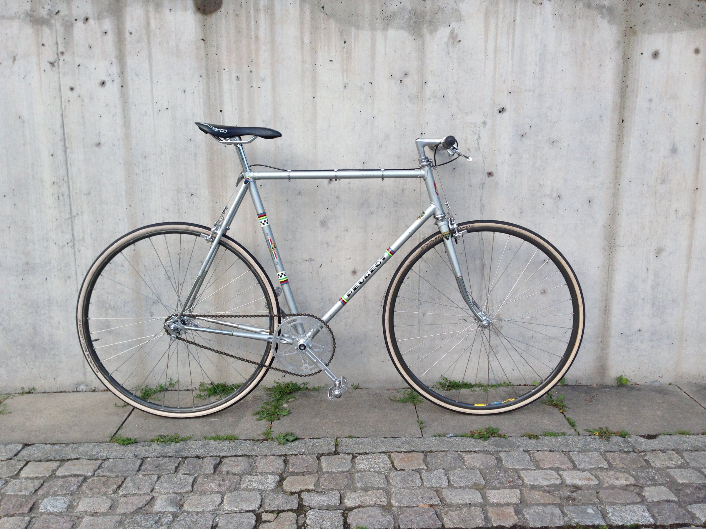 2017-05-19 19.49.12.jpg