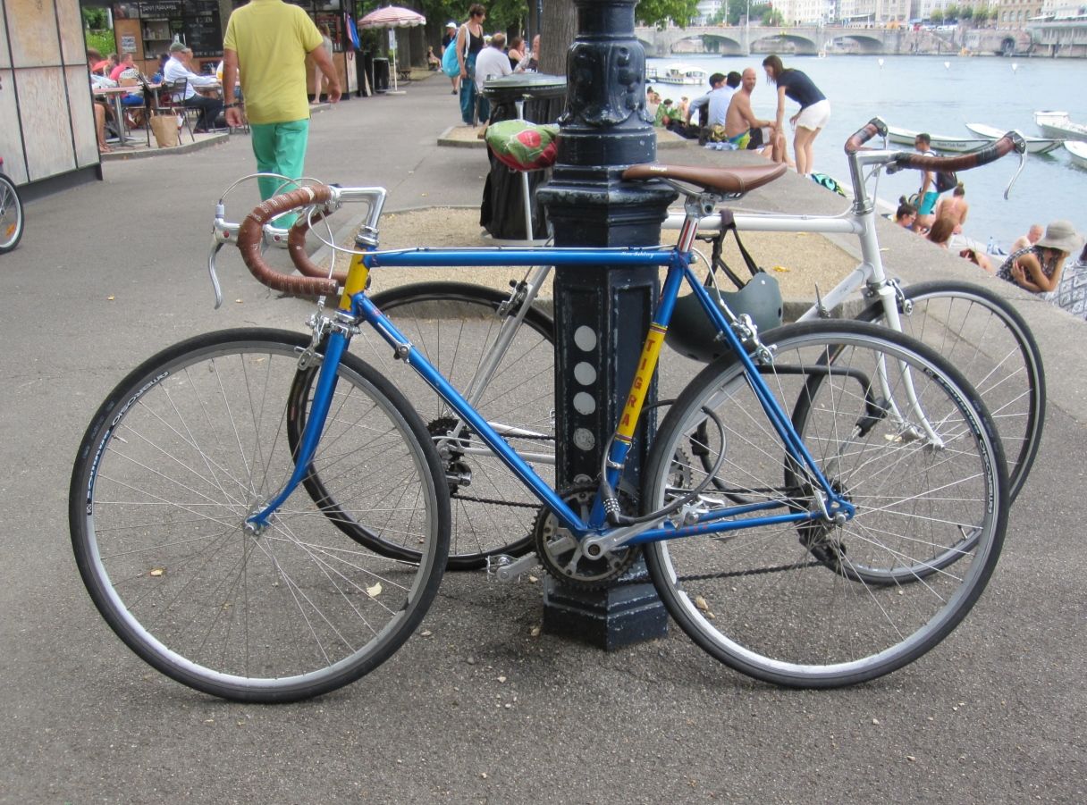 2017-07-22 05a Basel Rhein Tigra.jpg