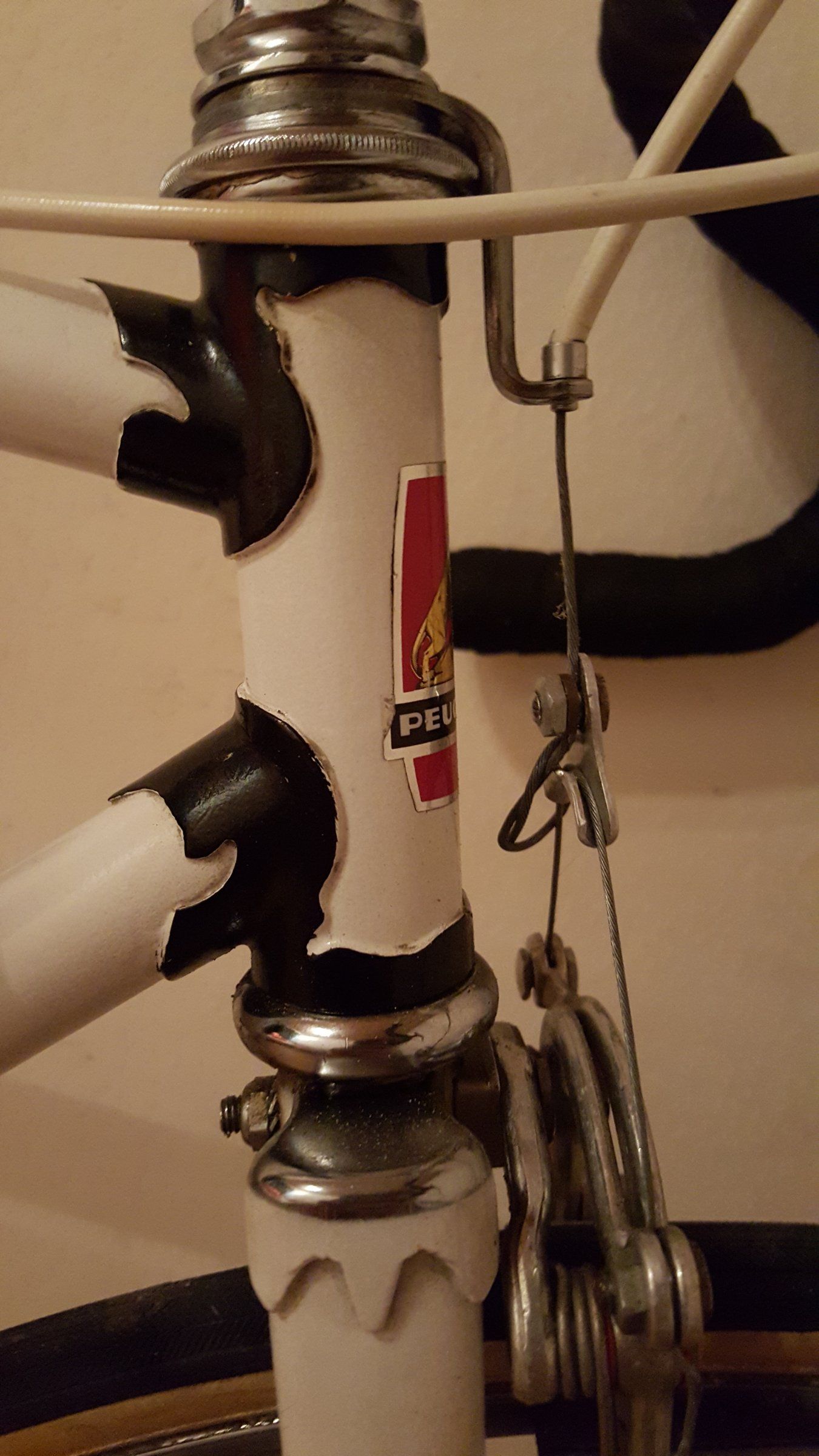 20170202_171614.jpg