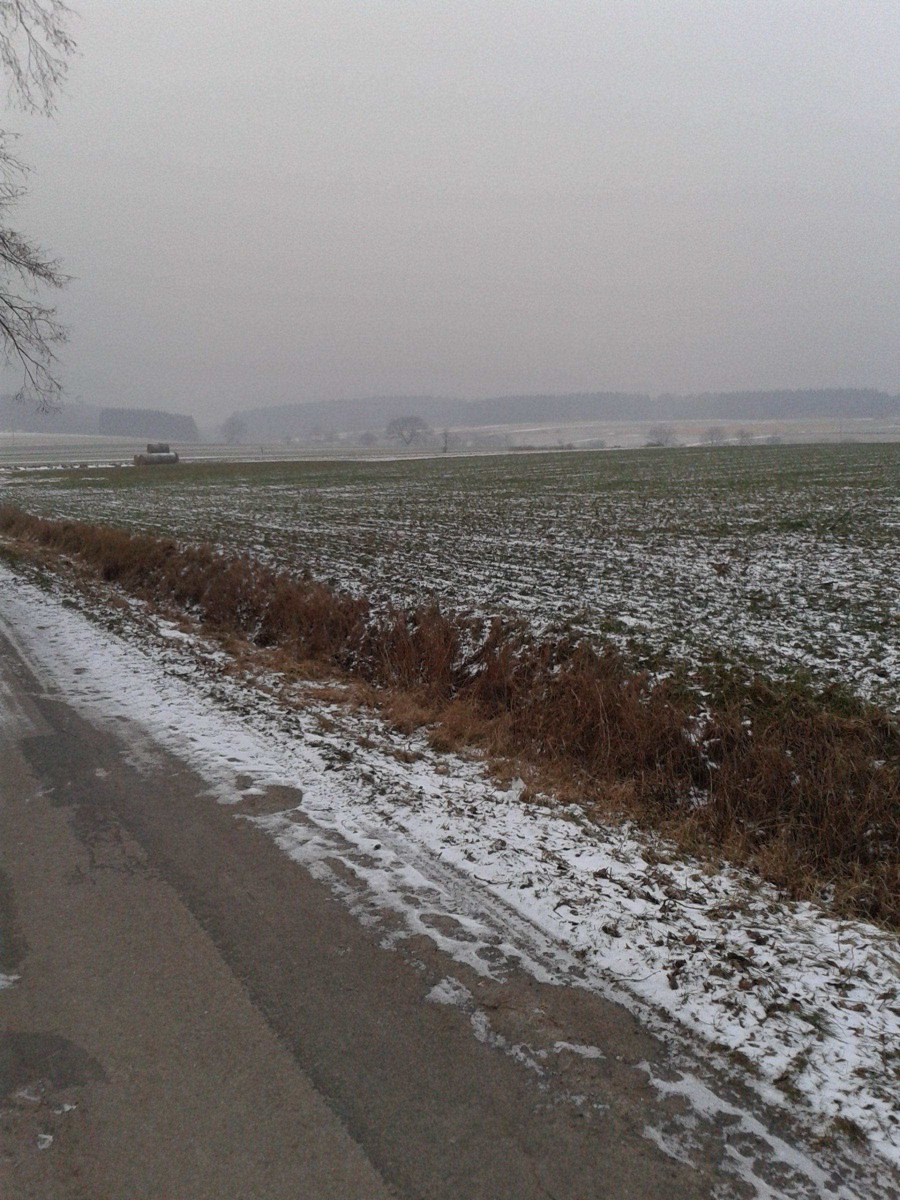 20170210_082426.jpg