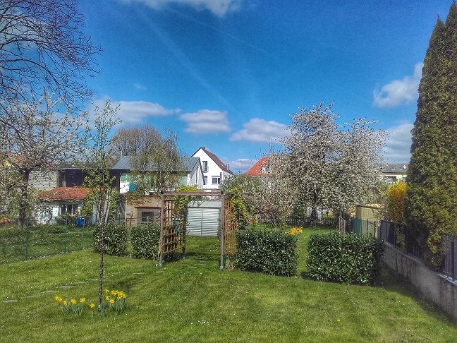 20170406_135655-01.jpg
