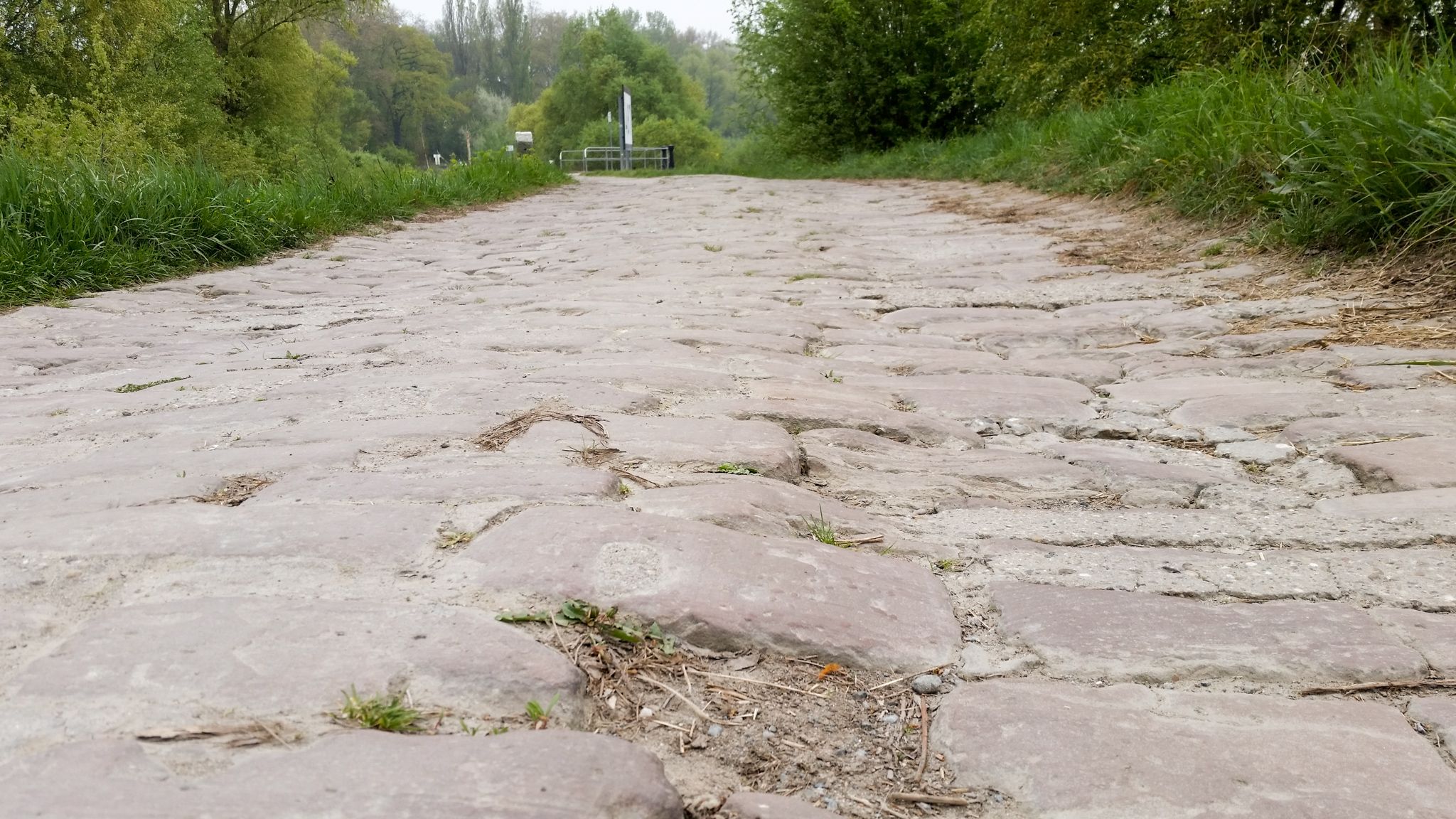 20170408_100541.jpg
