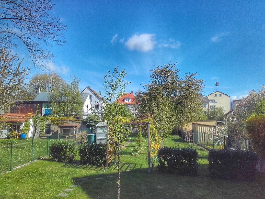 20170411_111934-01.jpg
