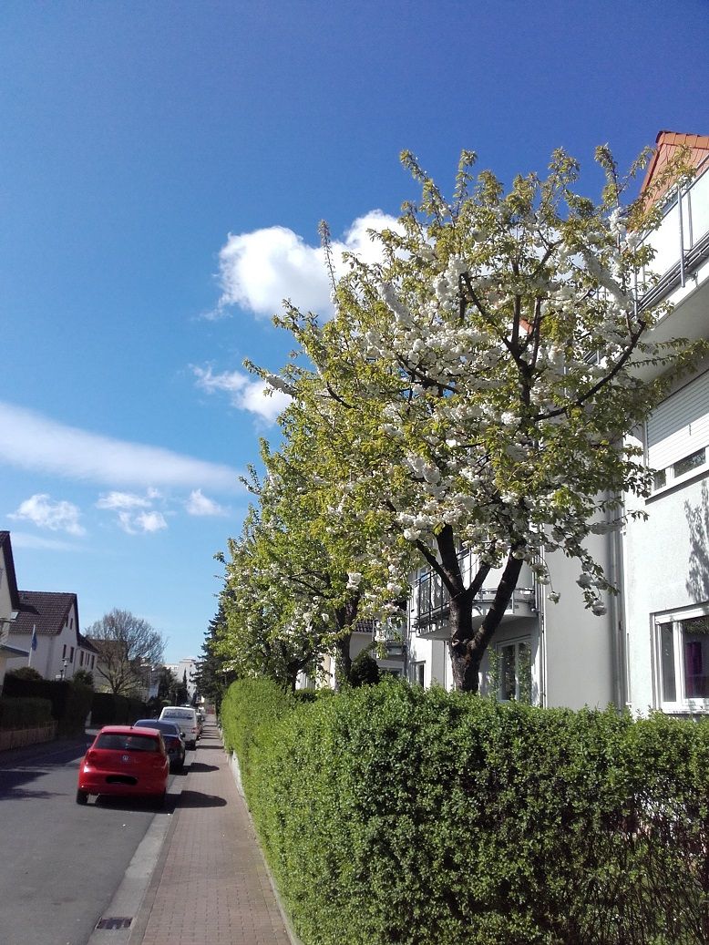 20170411_112040.jpg