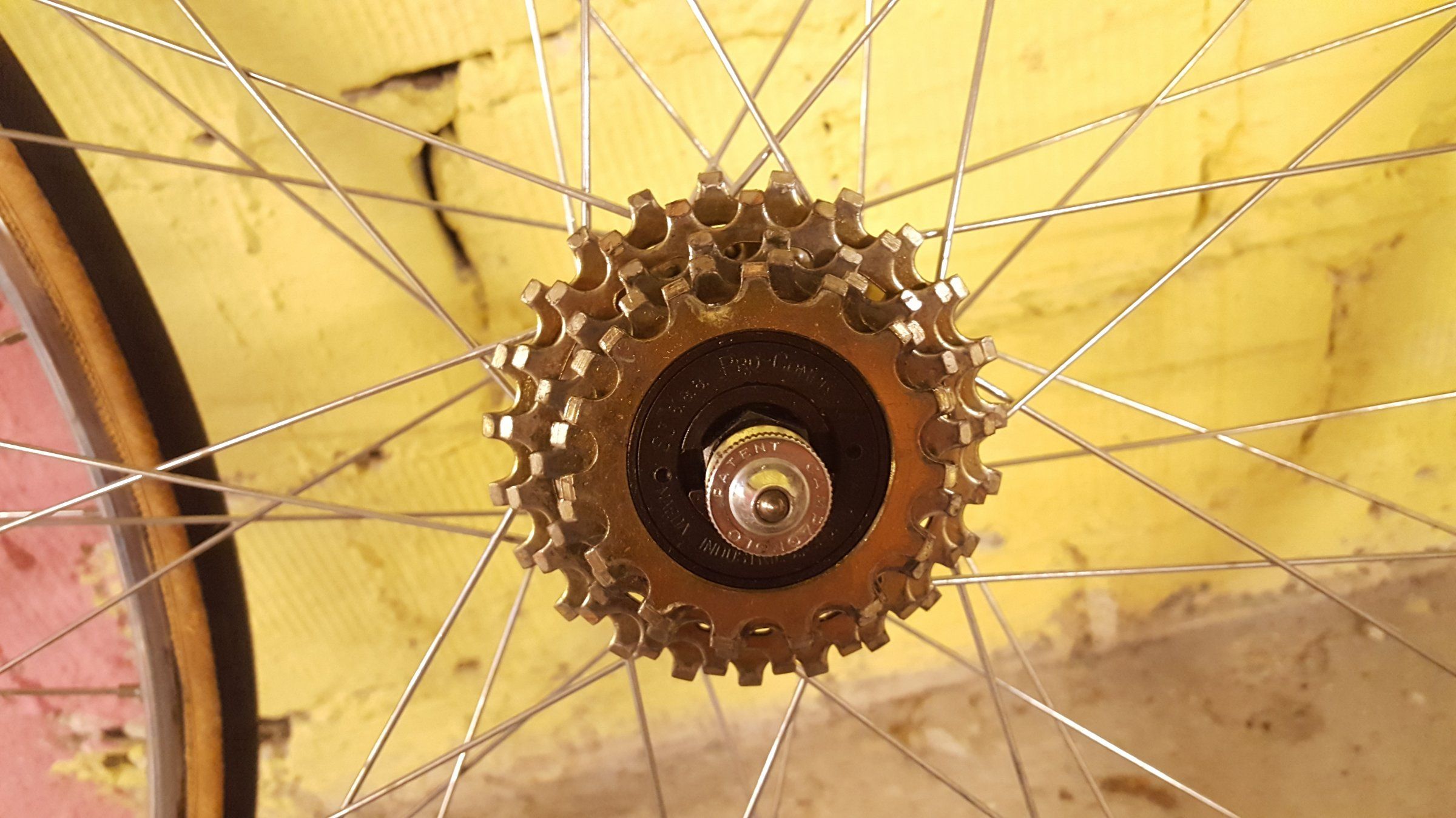 20170613_182009.jpg