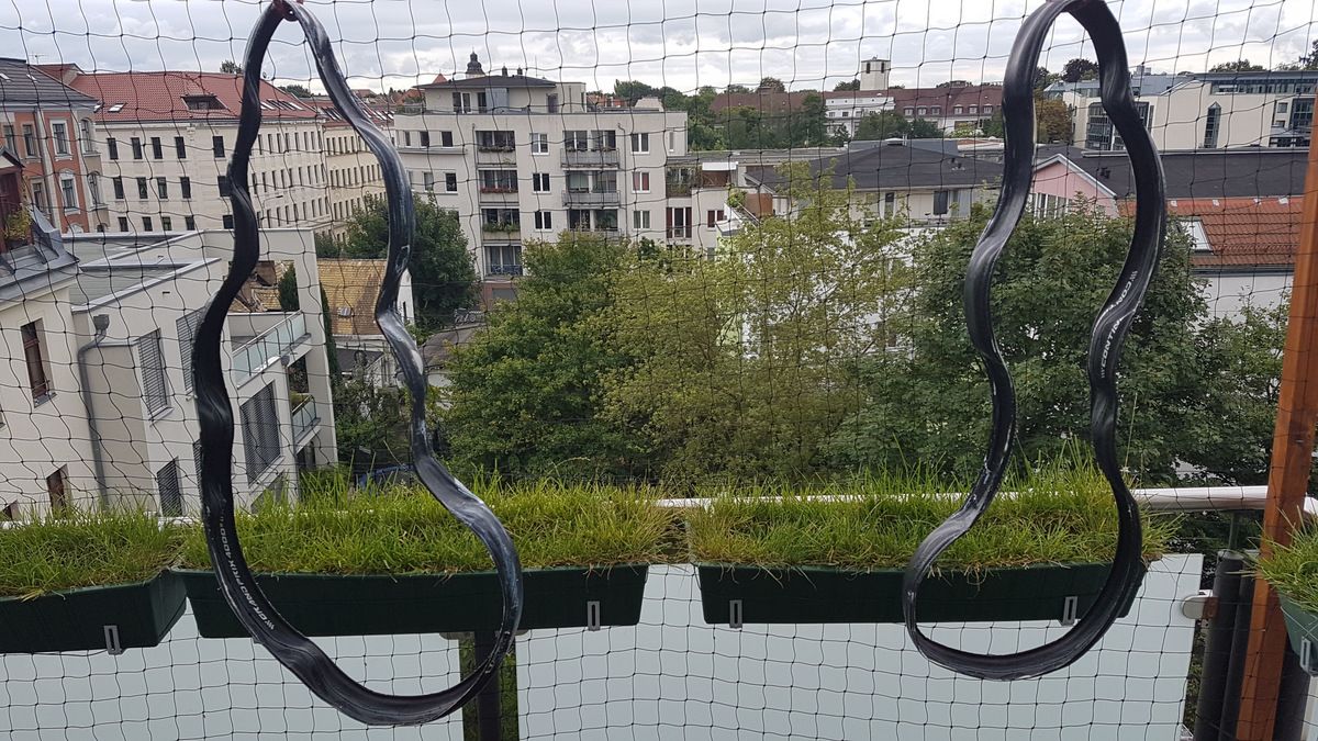 20170812_111126 (002).jpg