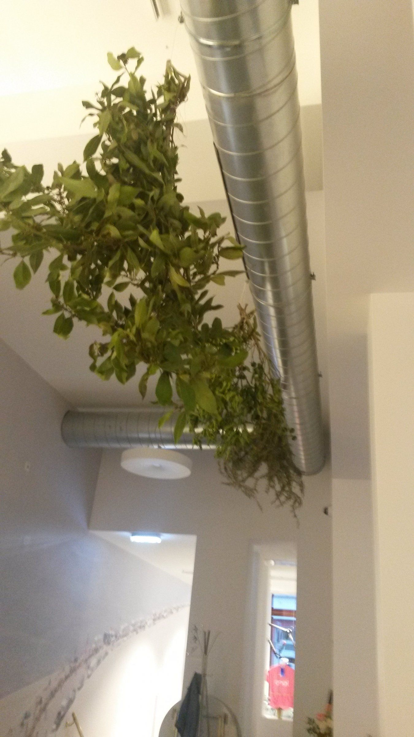 20170831_190647.jpg