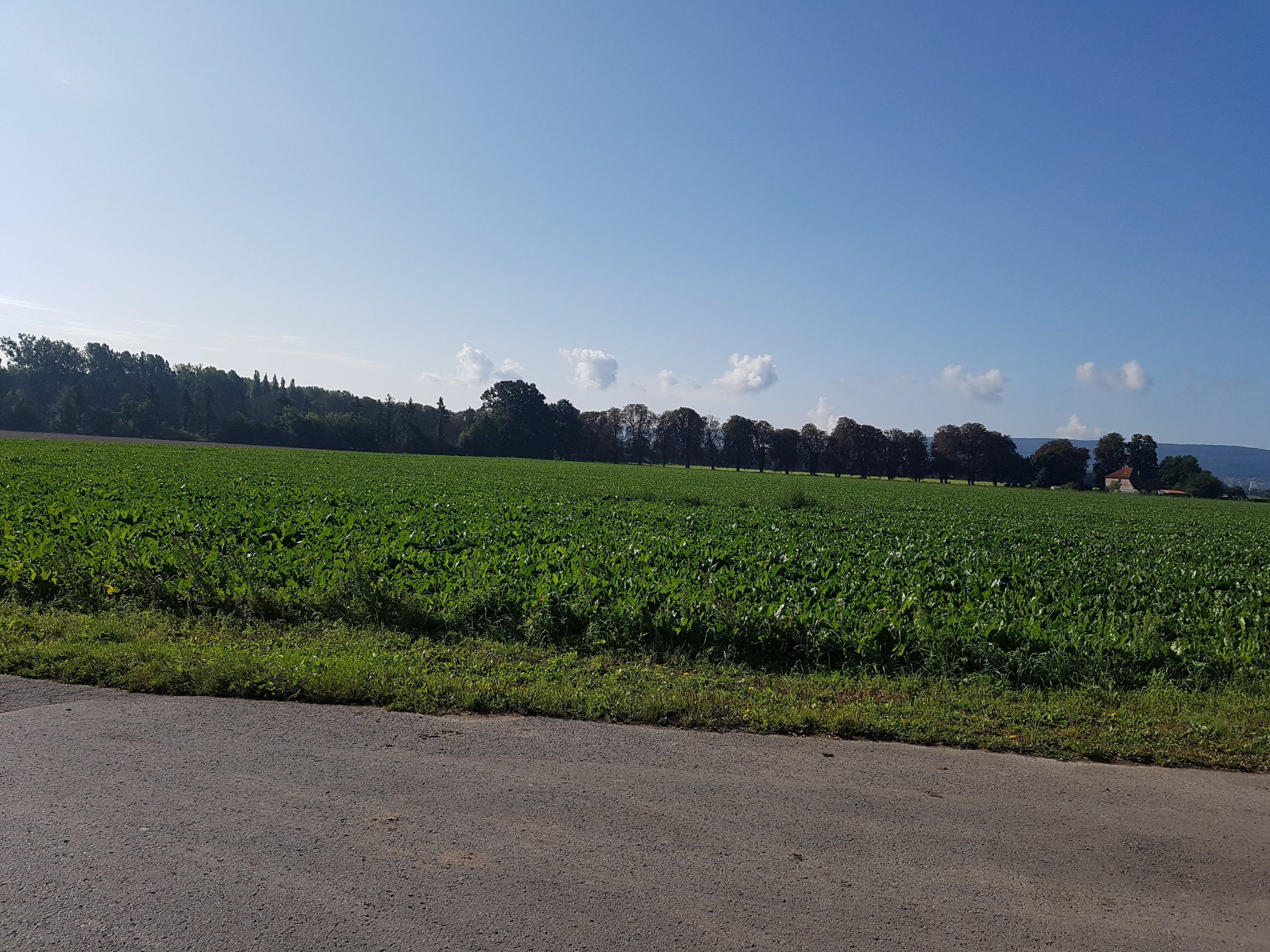 20170903_095617.jpg