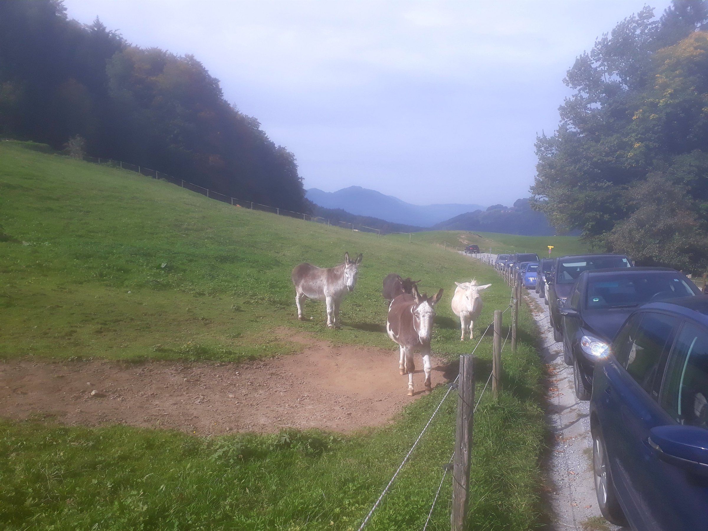 20170930_114213.jpg