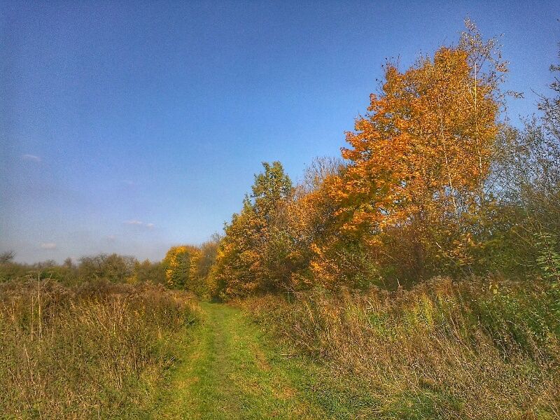 2017110314411400.jpg