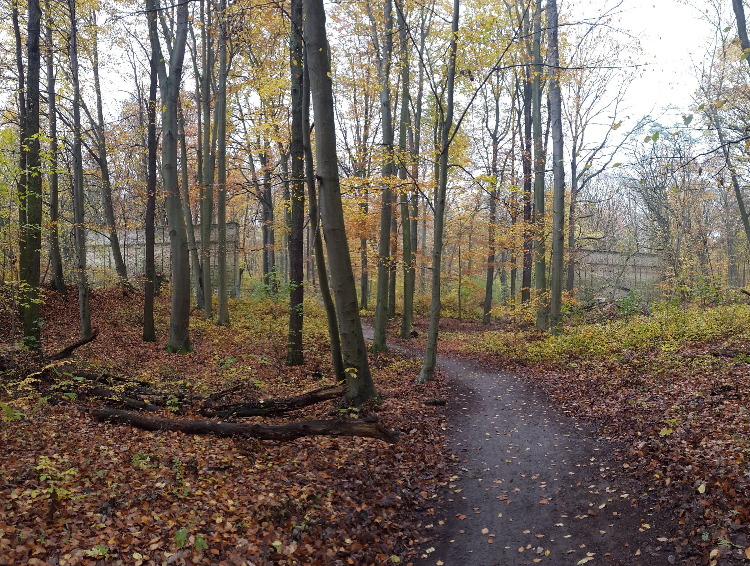 20171114_110301.jpg