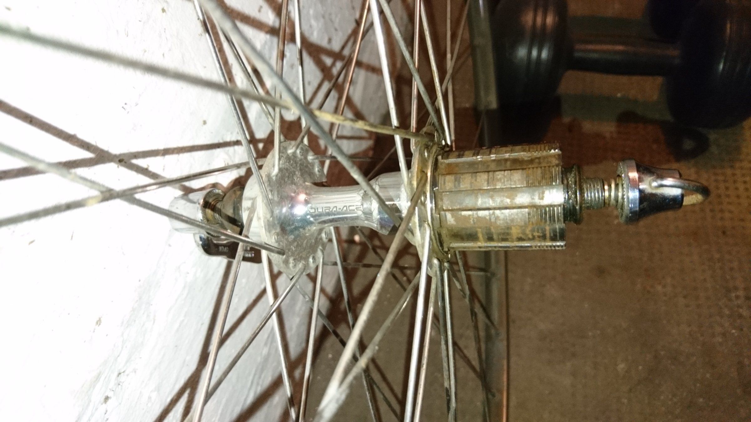 2018-08-26 18.39.42.jpg