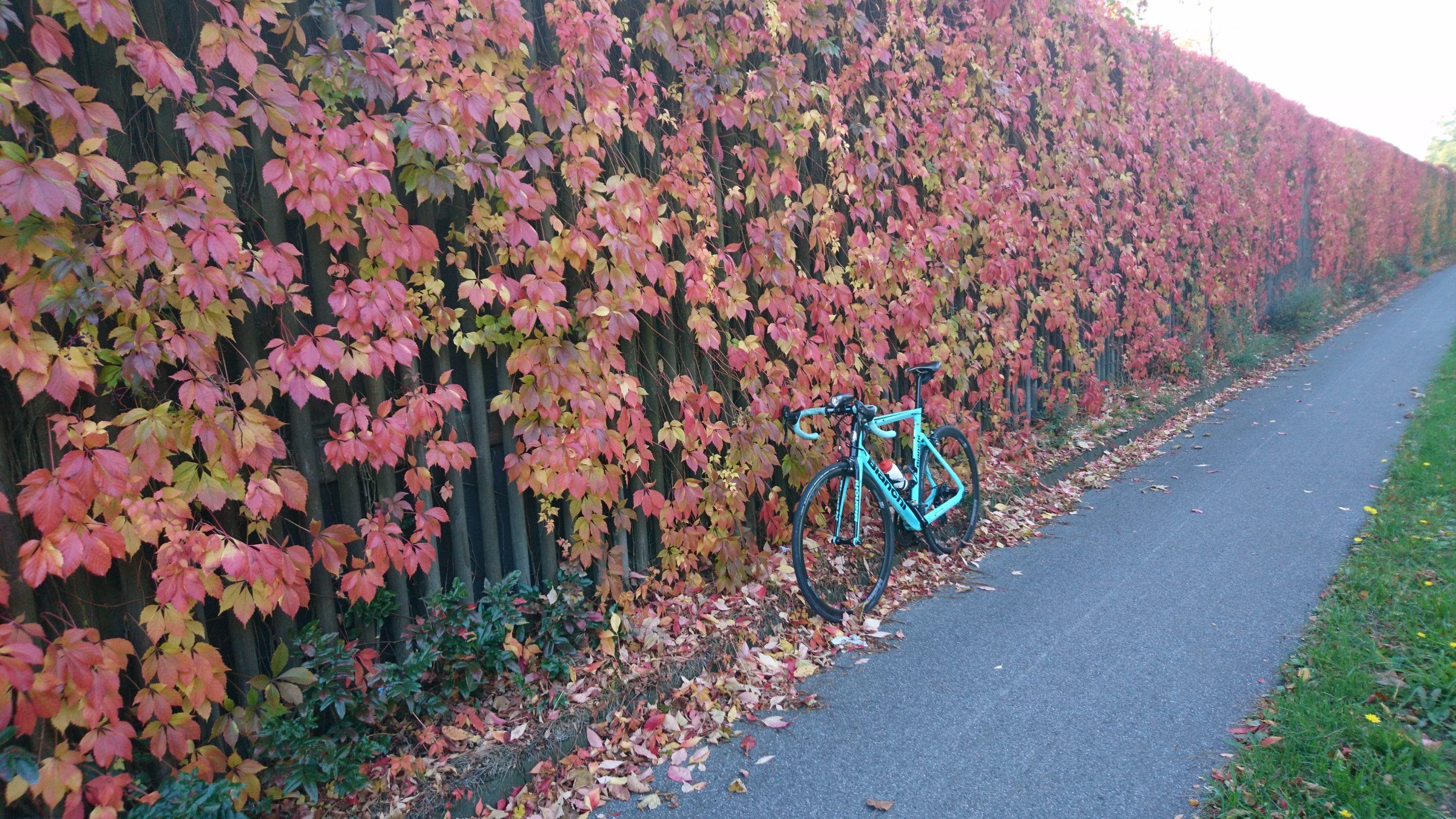 2018-10-09 16.17.34.jpg