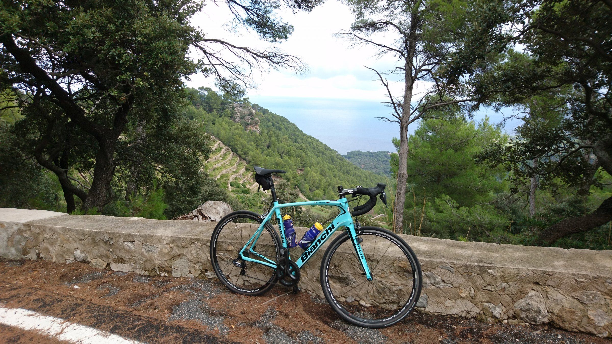 2018-10-17 11.01.21.jpg