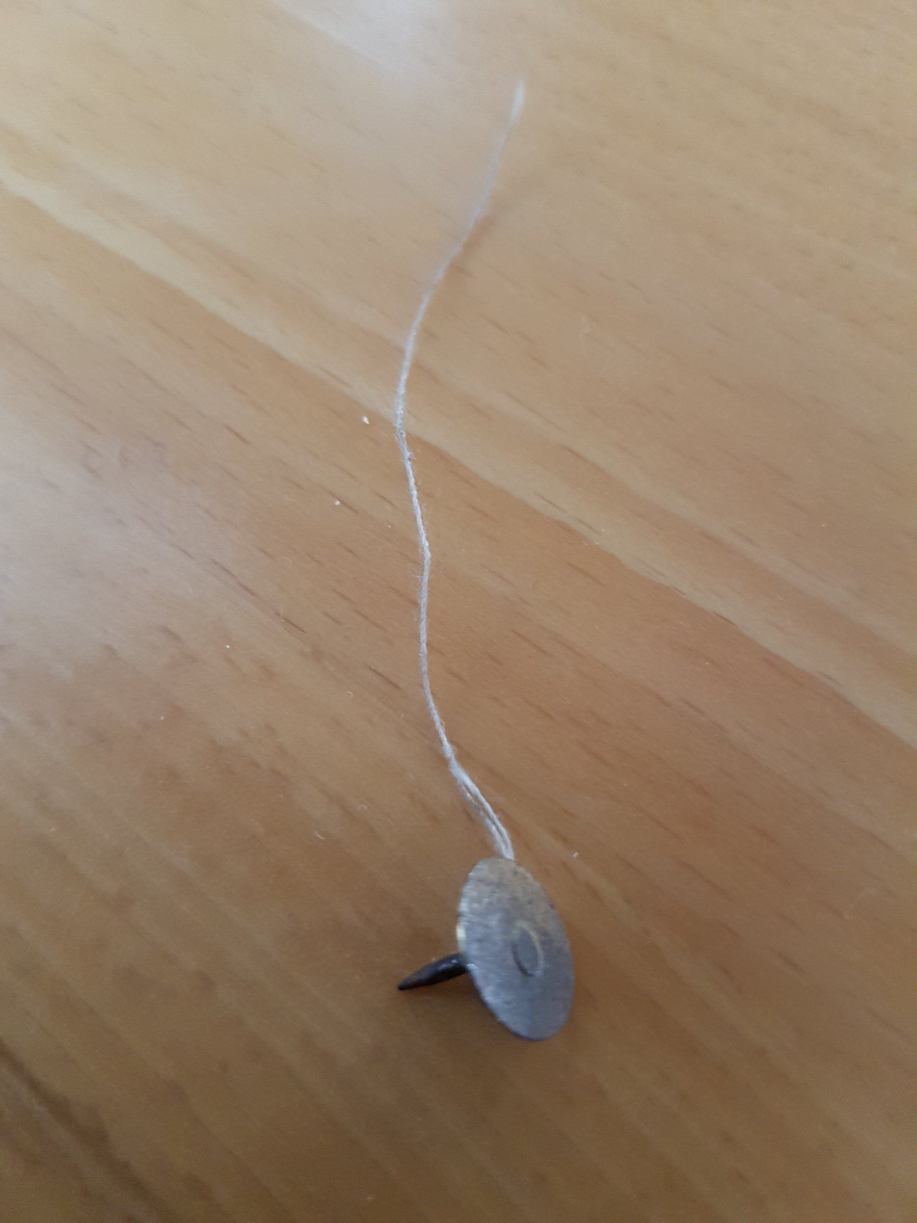 20180310_151532.jpg