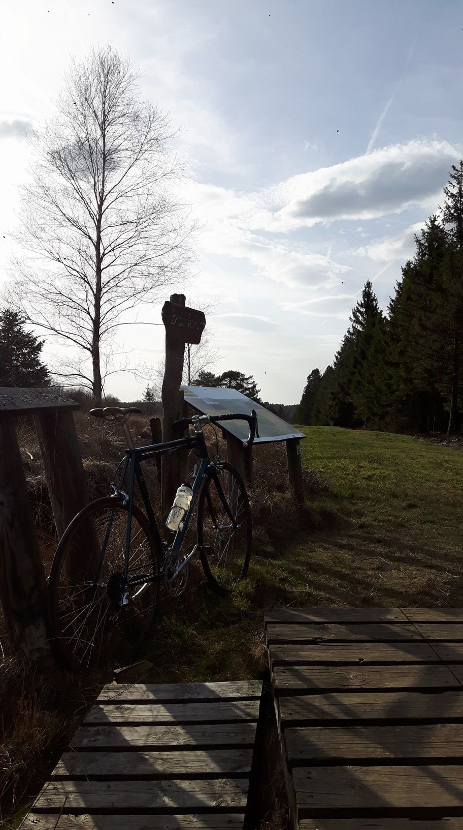 20180408_180253.jpg