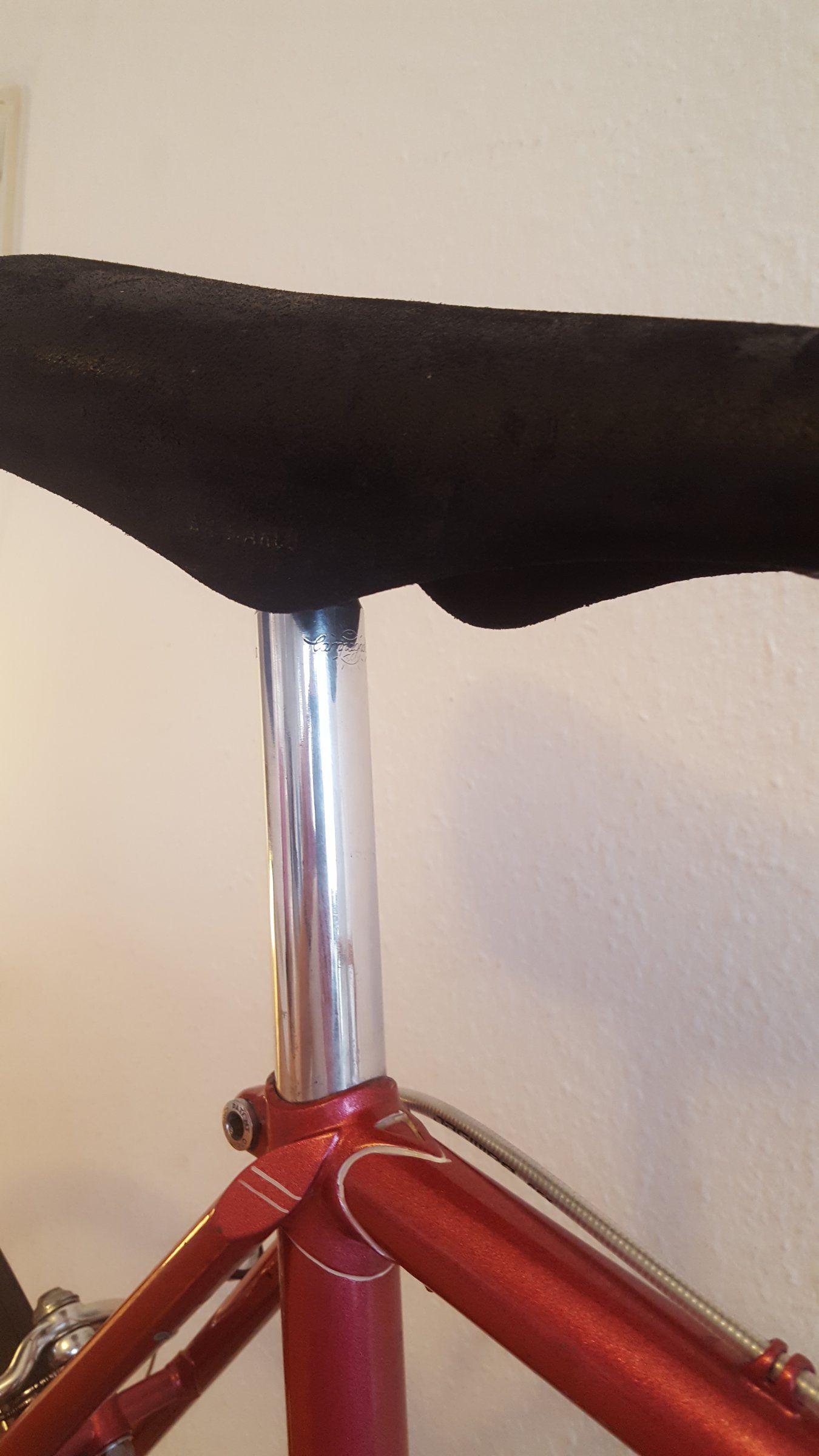 20180412_174212.jpg