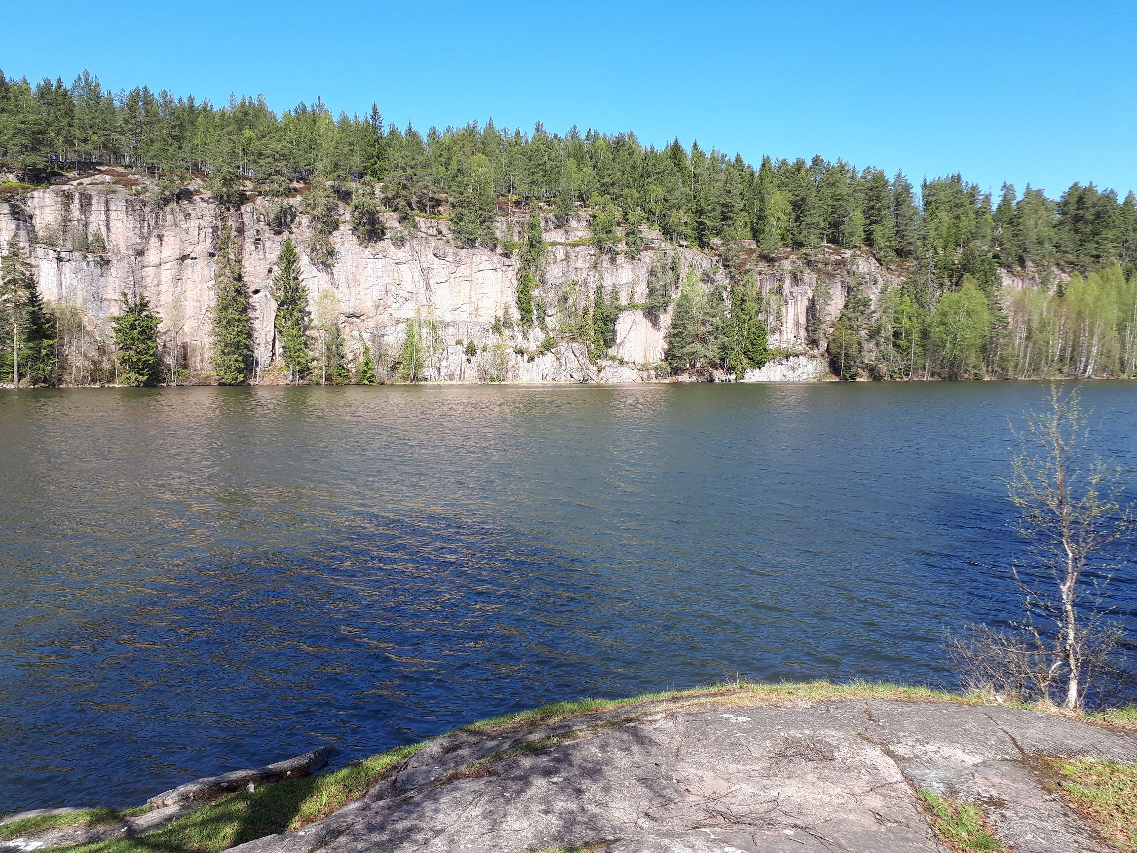 20180510_112605a.jpg