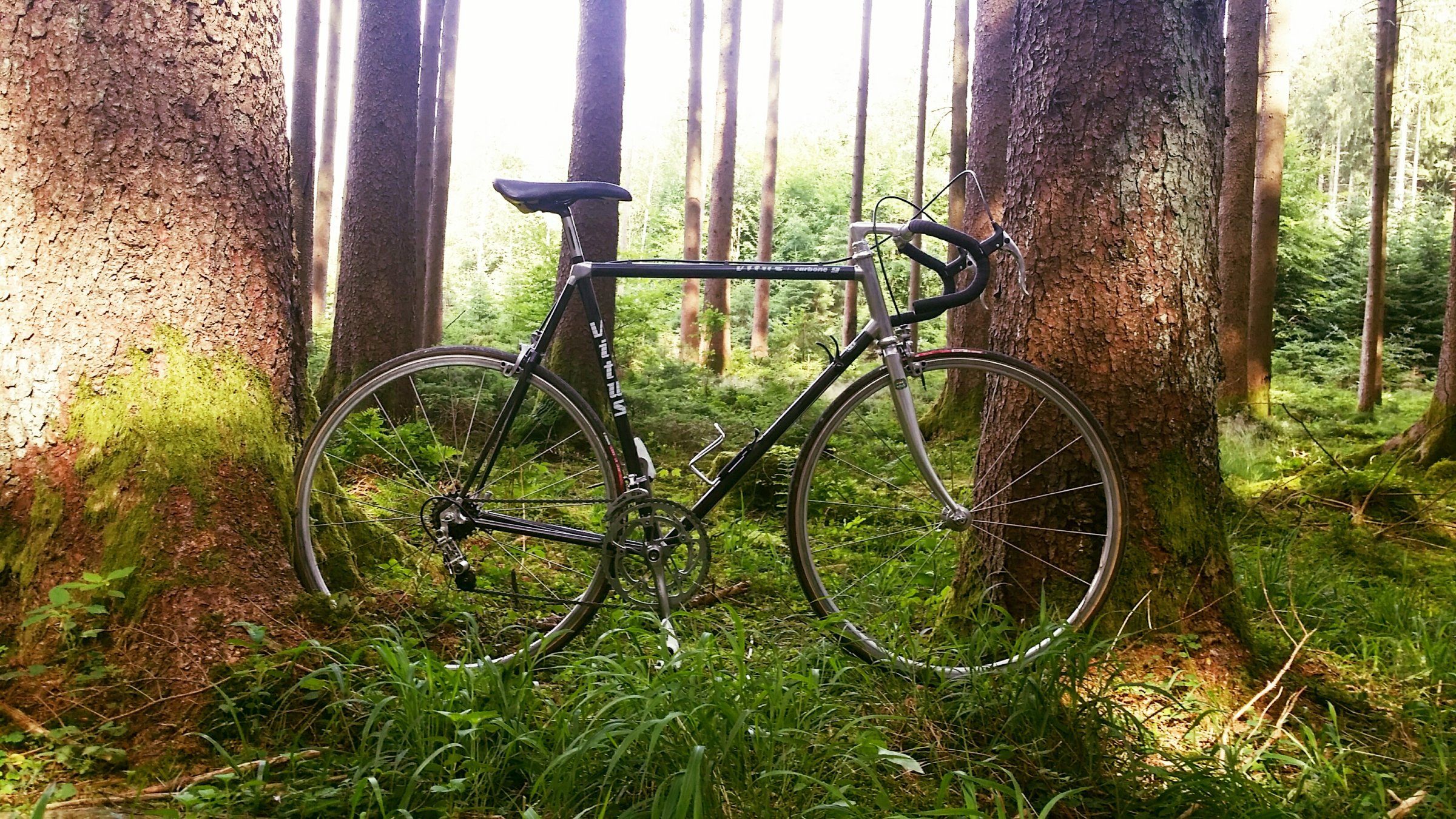 20180624_163902.jpg