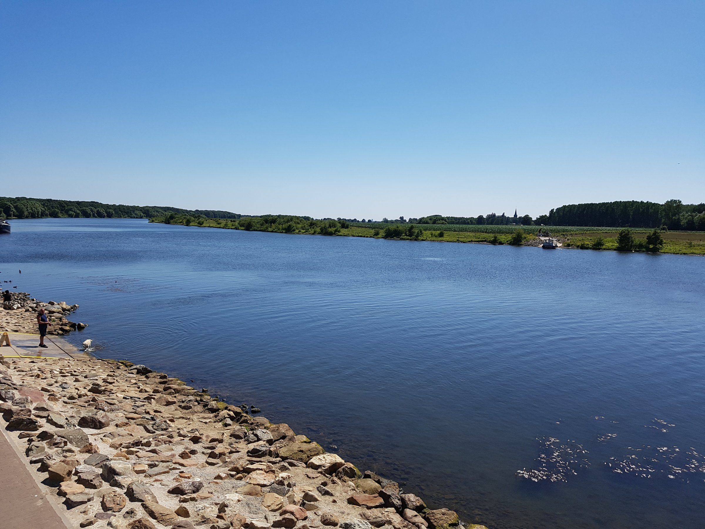 20180702_154919.jpg