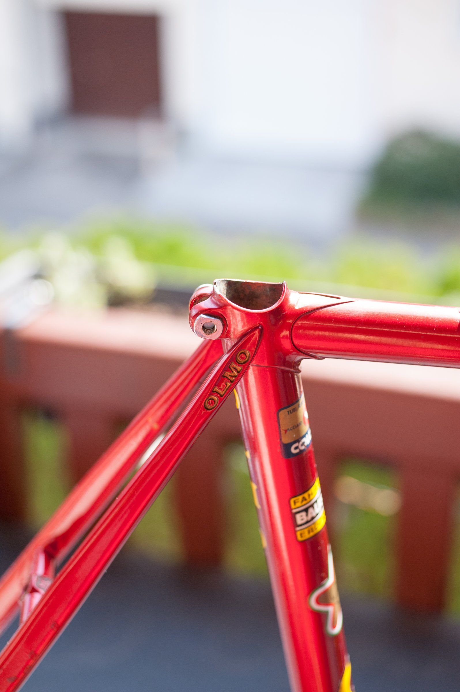20180819-_DSC7853.jpg