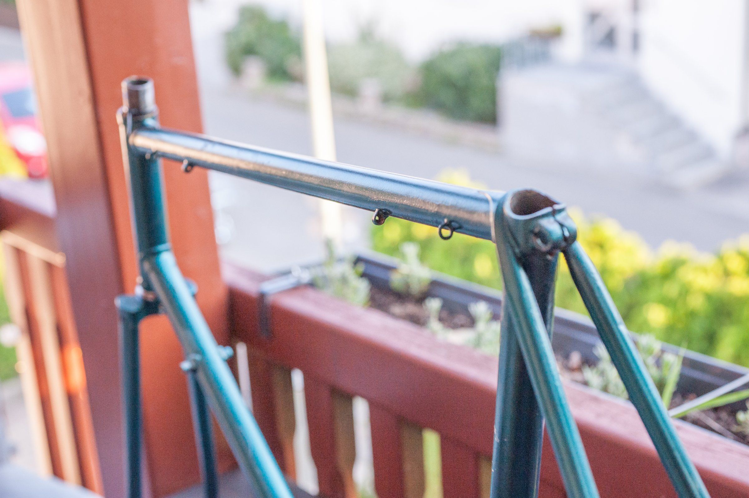 20180819-_DSC7880.jpg