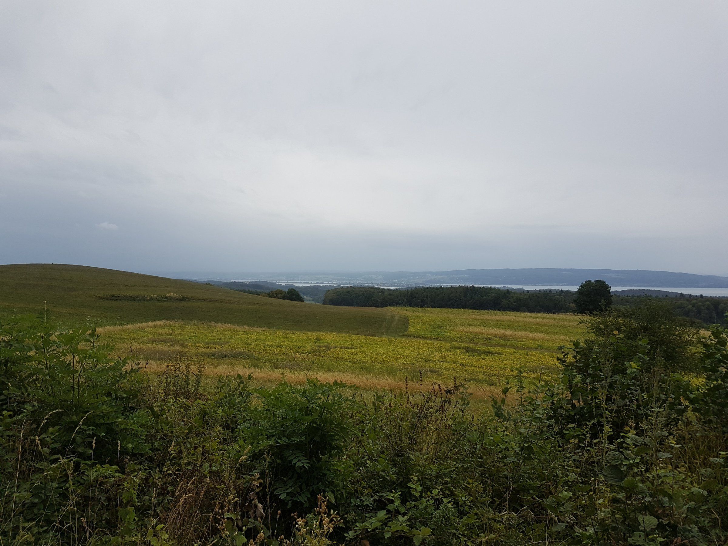 20180825_113616.jpg