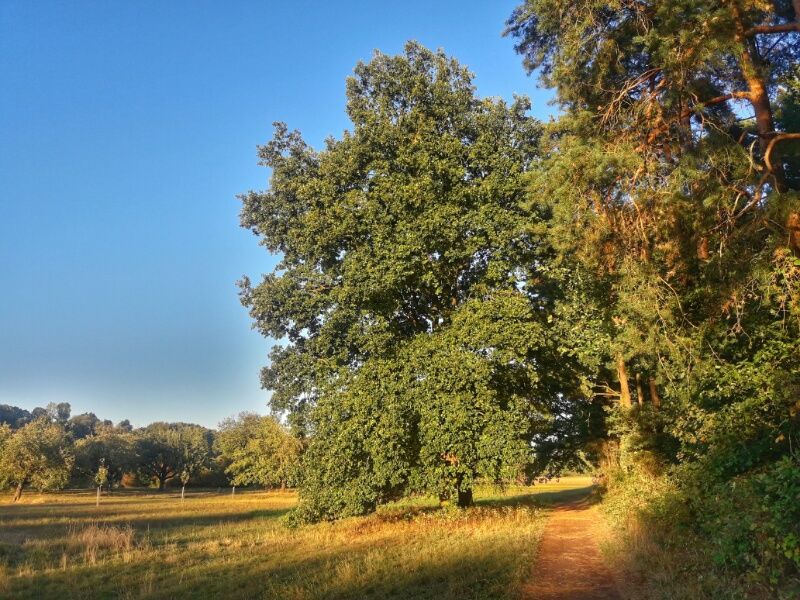 2018092818202600.jpg 2018092818202600.jpg