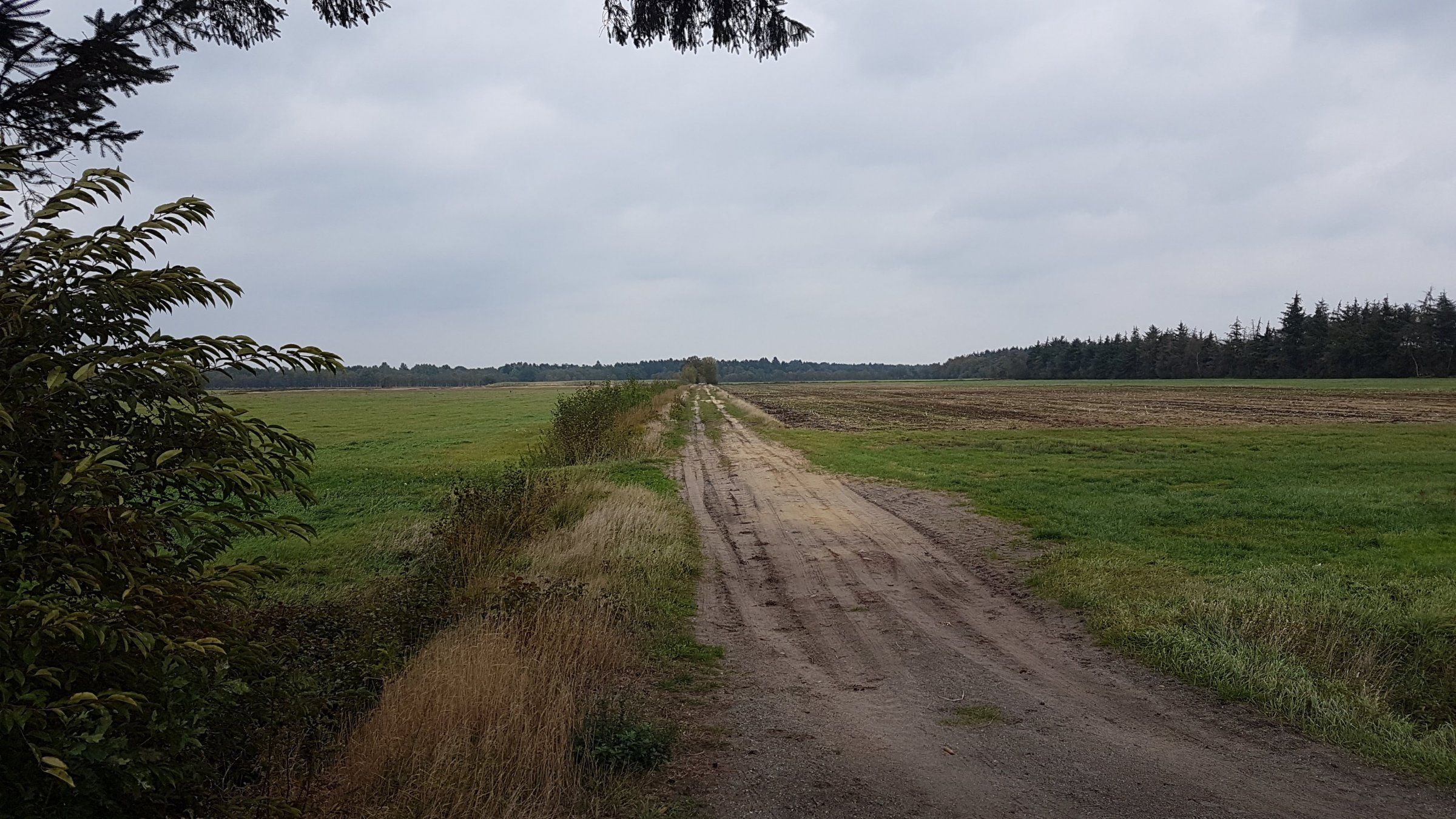 20181004_155027.jpg