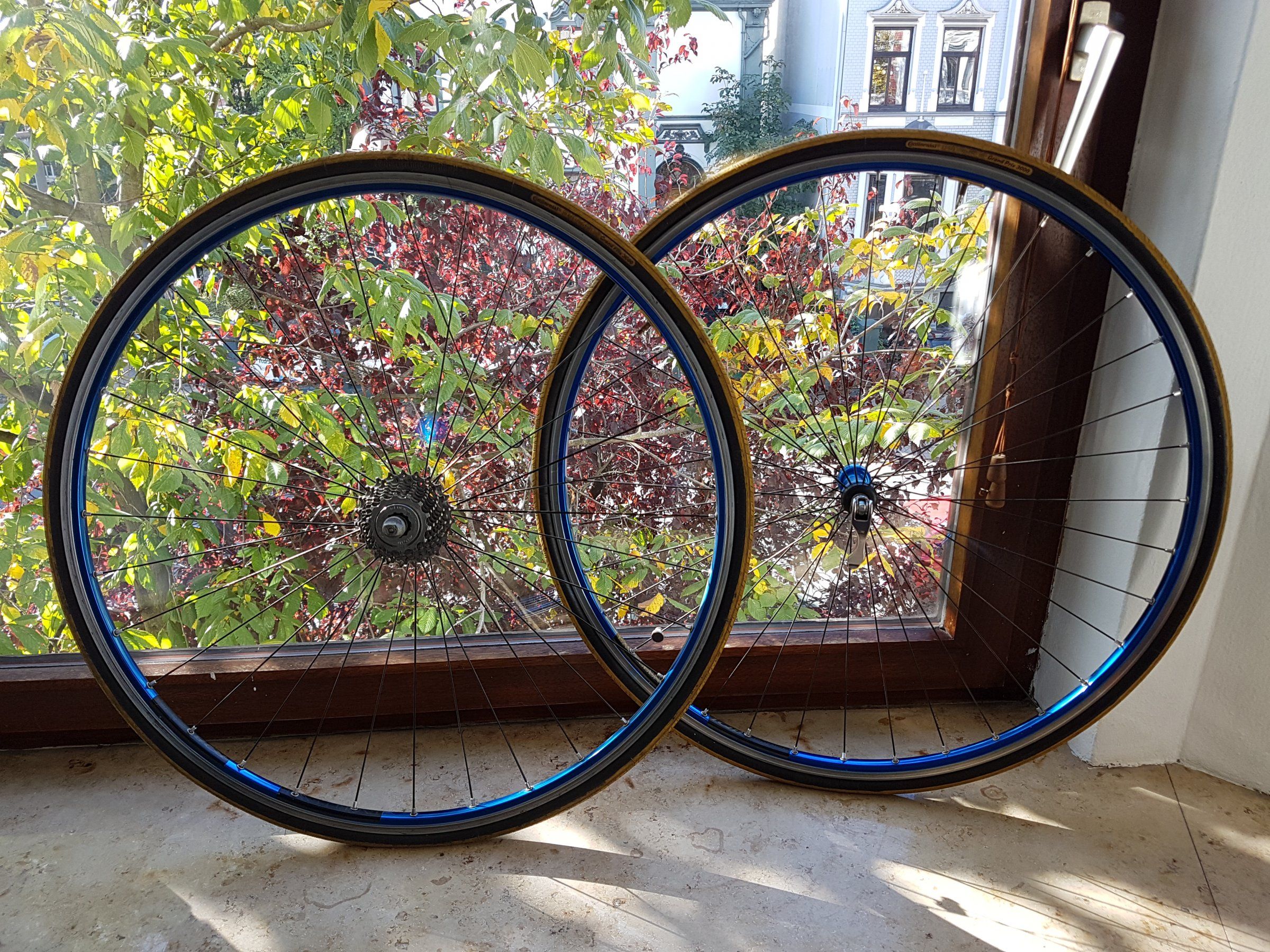 20181007_110244.jpg