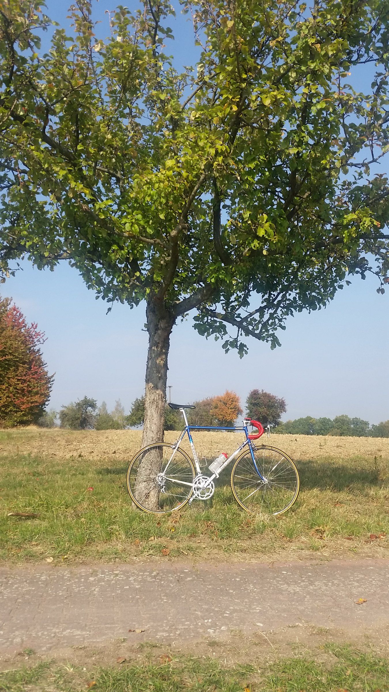20181007_140823.jpg