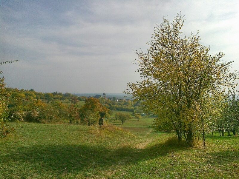 2018100916494700.jpg